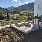 Dandelion Paros Iii