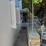 Dandelion Paros Iii *