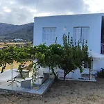 Dandelion Paros Iii *