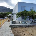 Dandelion Paros Iii