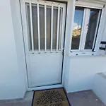 Dandelion Paros Iii