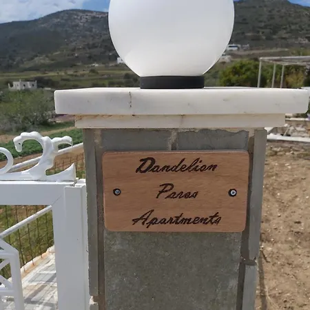 Dandelion Paros Iii