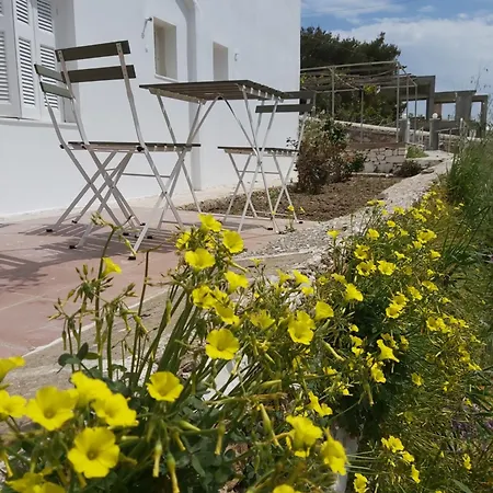 Dandelion Paros Iii * Kostos