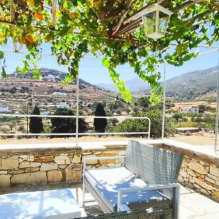 Dandelion Paros Iii-iv * Kostos