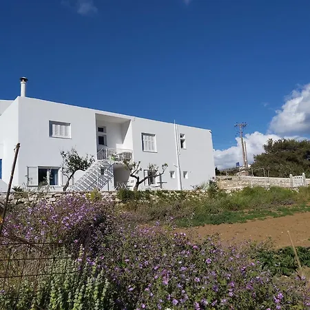 Dandelion Paros Iii-iv Apartament