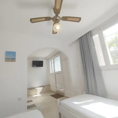 Dandelion Paros Iii-iv Kostos