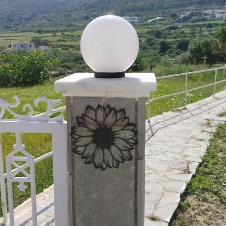 Dandelion Paros Iii *