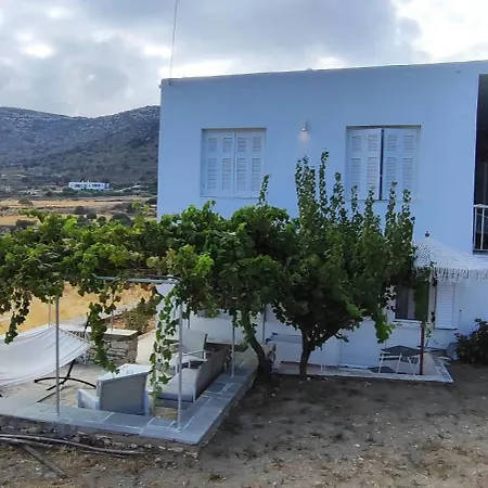 Dandelion Paros Iii *