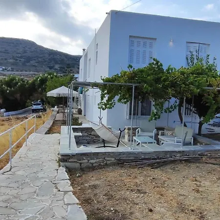 Dandelion Paros Iii