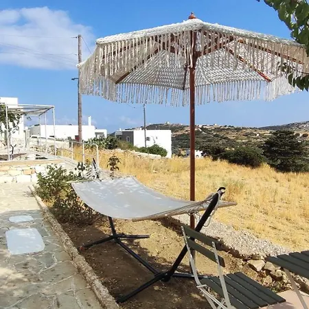Dandelion Paros Iii