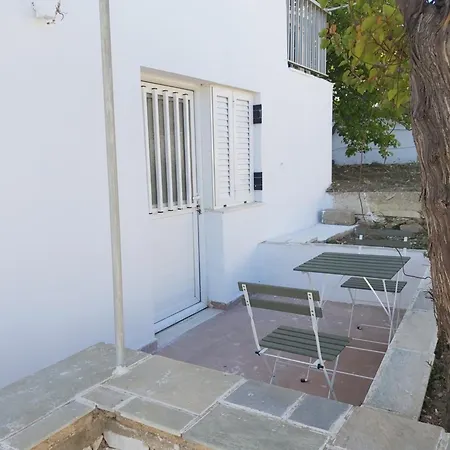 Dandelion Paros Iii *