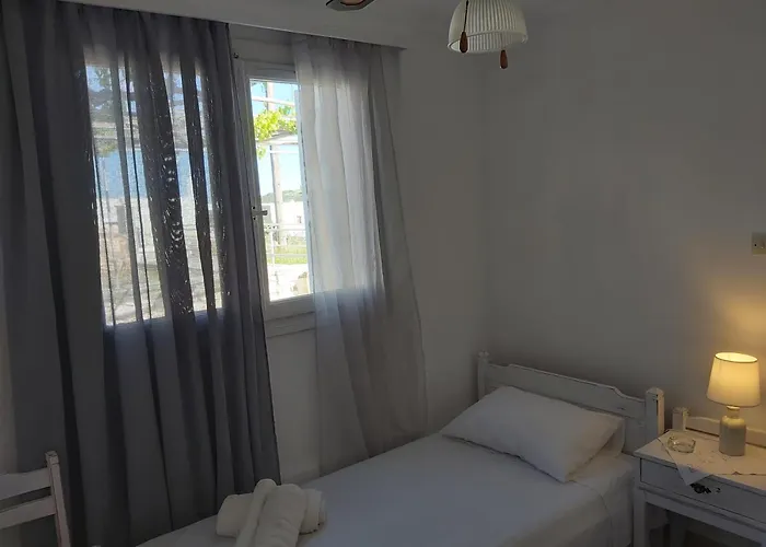 Dandelion Paros Iii-iv * Kóstos