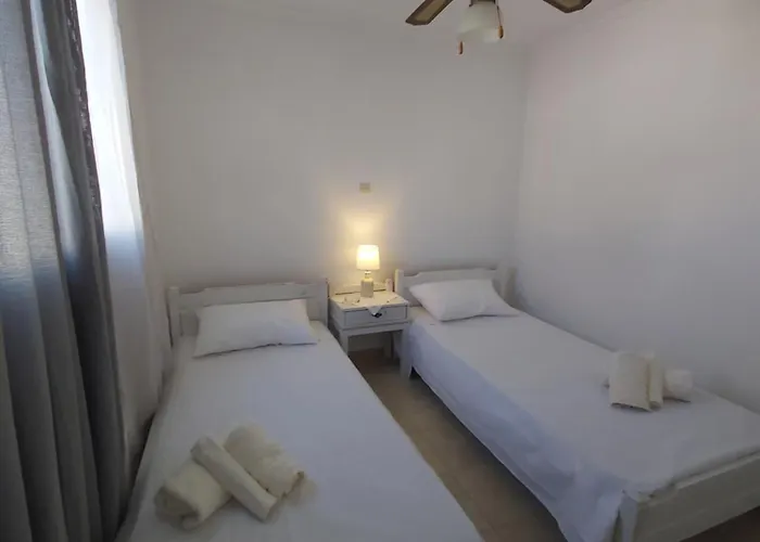 Dandelion Paros Iii-iv * Kóstos