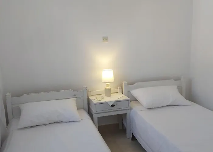 Dandelion Paros Iii-iv * Kóstos