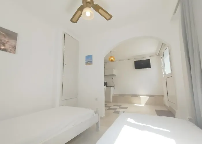 Apartman Dandelion Paros Iii-iv Kóstos