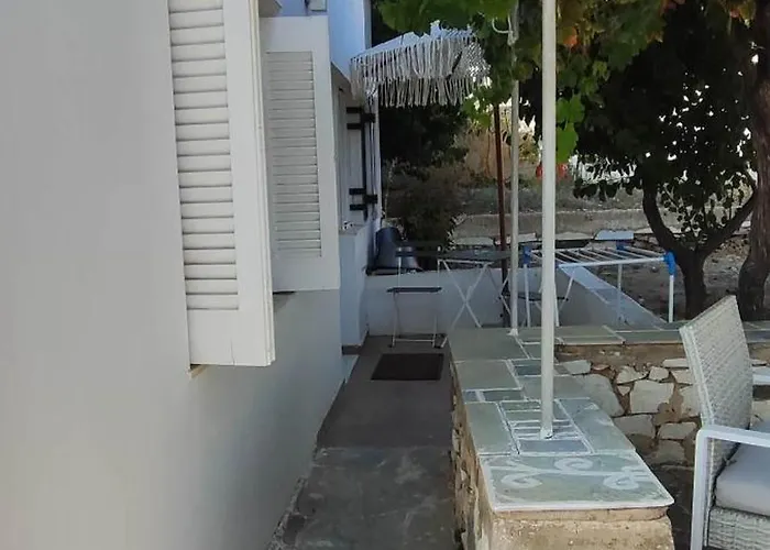 Dandelion Paros Iii-iv *